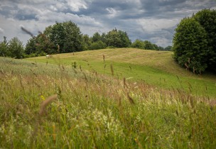 Pilsupių piliakalnis